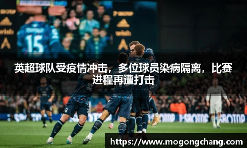 BB贝博登录入口