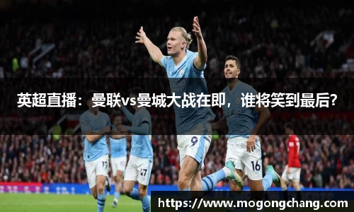 BB贝博登录入口