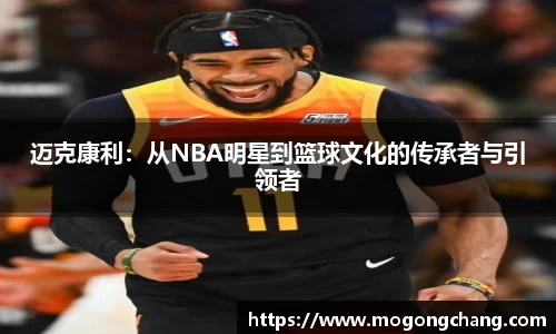 BB贝博登录入口