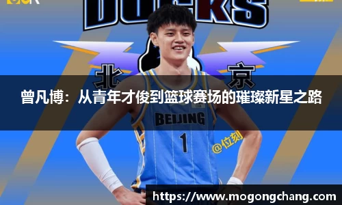 BB贝博登录入口