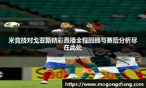 BB贝博登录入口