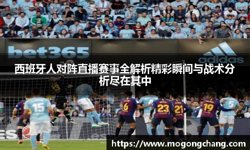 BB贝博登录入口