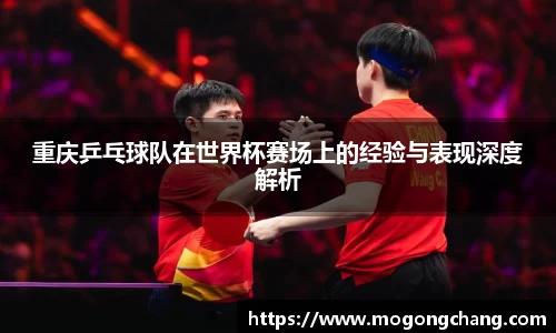 BB贝博登录入口