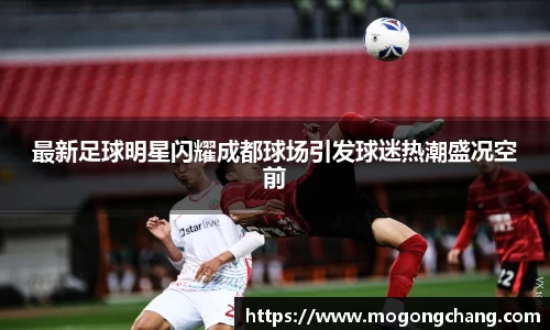 BB贝博登录入口