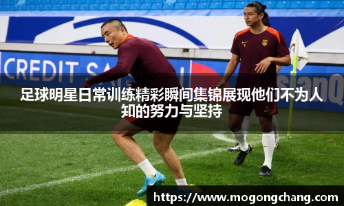 BB贝博登录入口